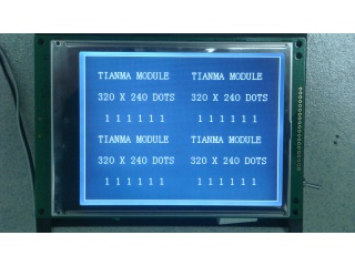 TM320240EGFWVSWD