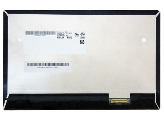 B101EVN07.0