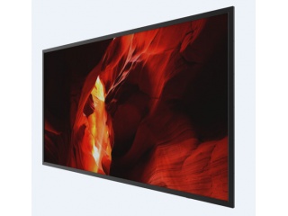 RS860ENT-N20