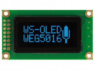 WEG005016ABPP5N00100