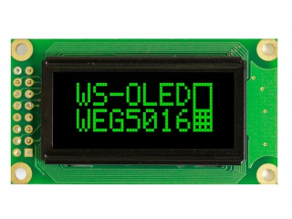 WEG005016AGPP5N00100