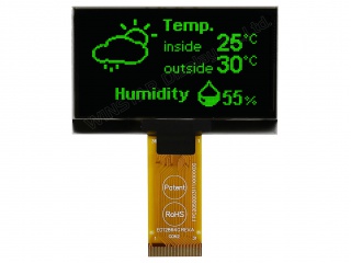 WEO012864GGPP3N00000