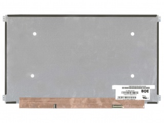 NV156QUM-N81