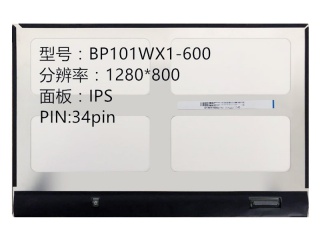BP101WX1-600