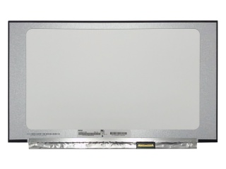 N156BGN-E43