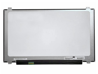 N173HCE-E41