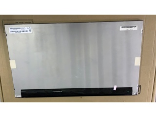 M240HVN02.1