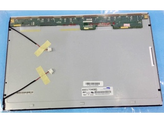 HSD170MGW1-B01