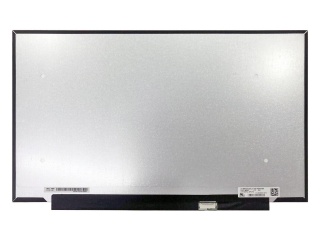 LP173WFG-SPT1