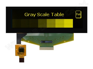 WEX025664BLPP3D00000