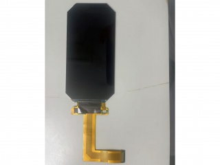 LPM055M493F