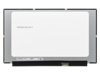 B156XTN08.0 HWNA