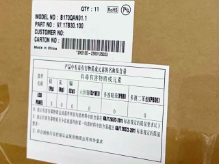 B170QAN01.1