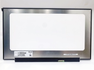 NV173FHM-NY2