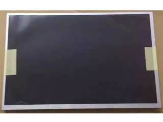 G101EVT01.0