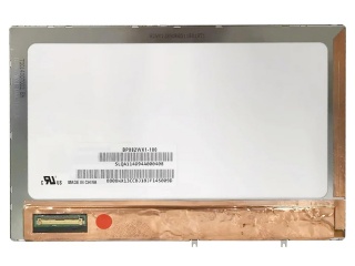 BP082WX1-100
