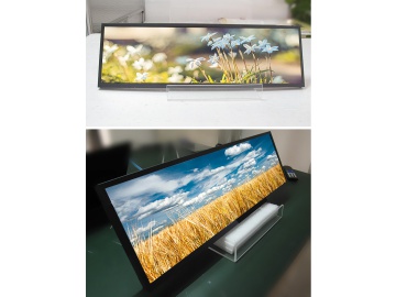 KB286T1