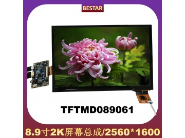BSDMD089061