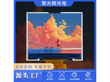 RT20LQ055E