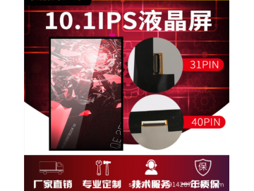 FX101WXM-31P