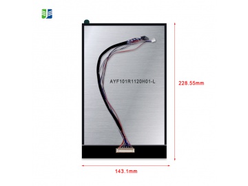 AYF101R1120H01