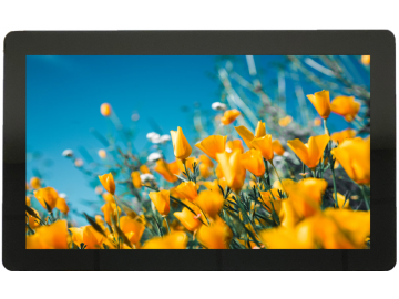 XF215FHD01A-ILHL