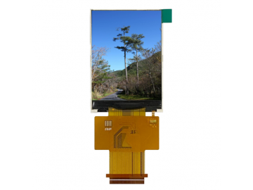 XF024QV05A -TINL