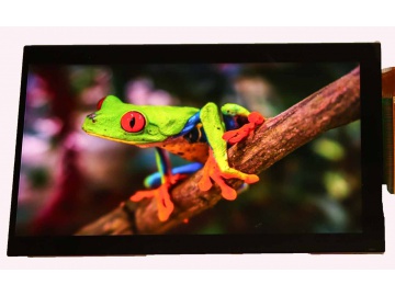 LCD087-050CTL1ARNTTR5.0