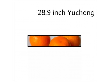 YFHD289LSM01