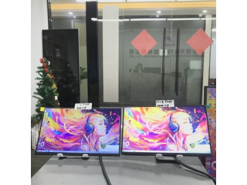 BSD101FHM-N10-1000CD