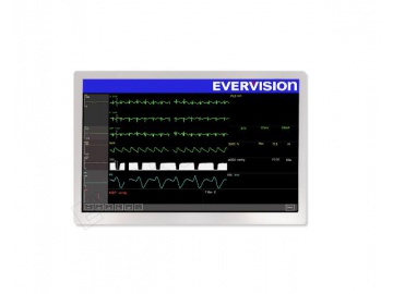 VGG804833-O