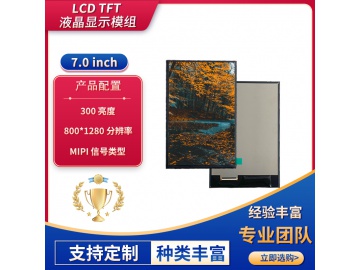 ZH070BH110-01A