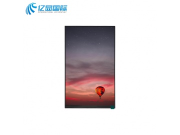 YS-T0800B81P-10
