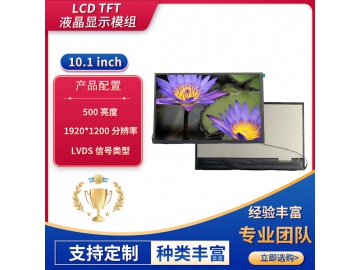 ZH101BH053-01C