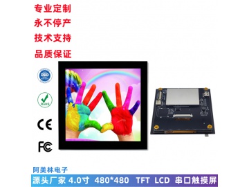 AML040480480CK-01-CTP