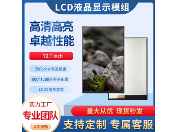 ZH101BH061-01A