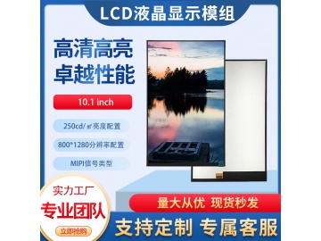 ZH101PIHD005-01A