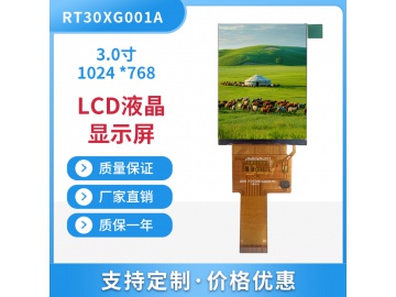 RT30XG001A