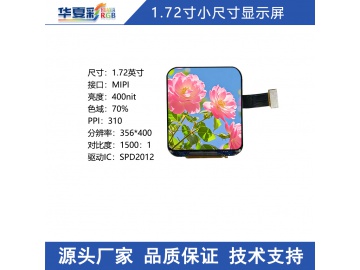 H0172S004 V0