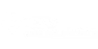 Luminary Micro Division of Texas Instruments